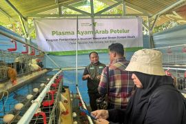 Dompet Dhuafa umumkan dana yang dihimpun selama Ramadhan 1447 H