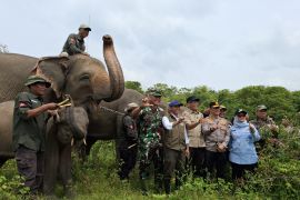 Way Kambas National Park pilot for innovative climate financing