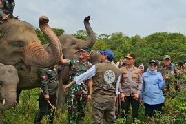 Pembatas di TNWK jadi era baru kebangkitan konservasi Lampung Timur