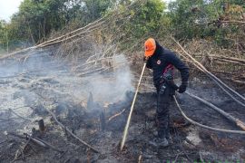 Kebakaran lahan di Kotim mulai rambah kebun warga