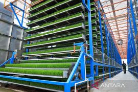 China dorong transformasi pertanian tradisional jadi budi daya pintar