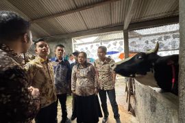 Wapres Gibran tekankan hilirisasi industri peternakan di Boyolali