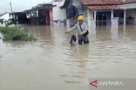 BNPB: Banjir luapan Sungai Comal rendam 16 desa di Pemalang