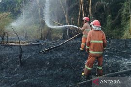 Selain Riau, BNPB laporkan karhutla juga terjadi di Simalungun Sumut