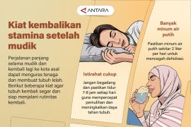 Kiat kembalikan stamina setelah mudik