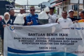 DKPP Batola-BPBAT Mandiangin bantu benih ikan Nila ke Pokdakan Kecamatan Bakumpai