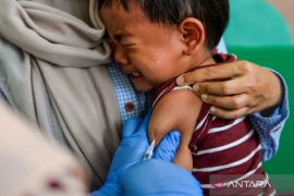 IDAI sebut vaksin influenza trivalen aman diberikan kepada balita dan ibu menyusui