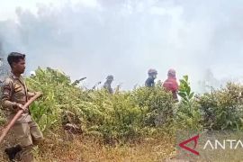 Satpol PP Bangka gandeng Pemdes awasi kawasan hutan