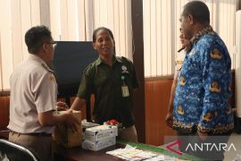 BKHIT Maluku gandeng BKSDA amankan 900 satwa liar di Bandara Pattimura