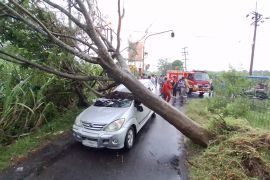 BPBD Kediri tangani pohon tumbang yang timpa mobil