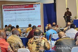 OJK Papua tekankan pemda bersinergi dengan pihak lain kembangkan UMKM