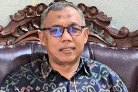 Pakar: UU perlindungan anak di ranah digital investasi jangka panjang