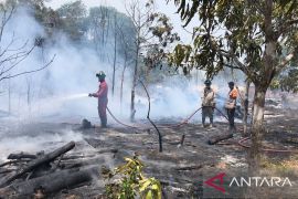 Pemkot Tanjungpinang tetapkan status siaga kebakaran hutan dan lahan