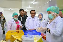 Pemprov-Sulteng terus dorong hilirisasi komoditas unggulan durian