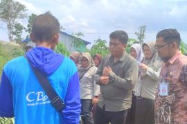 Kementan-RI monev bantuan saprodi pengolahan nanas dan capaian LTT padi di Batola