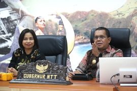Gubernur NTT: UMKM jadi penopang ekonomi di tengah gejolak global