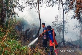 A harsher dry season tests Indonesia's fire strategy