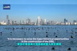 GBA marks a decade in China's Government Work Report, economic growth tops 60%