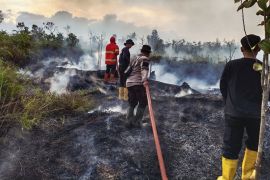 Pemkab Natuna tetapkan status tanggap darurat karhutla dan kekeringan