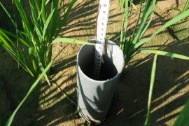 Hadapi "Godzilla El Nino", Kementan terapkan AWD hemat air 20 persen