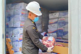 Balai Karantina Papua Tengah periksa 27 ton daging sapi beku  dari Surabaya
