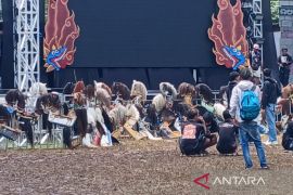 "Mepe jaran kepang" Temanggung rangkul pecinta seni beberapa daerah