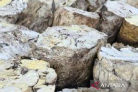 Gapkindo catat ekspor karet Sumut Februari 2026 capai 18.661 ton