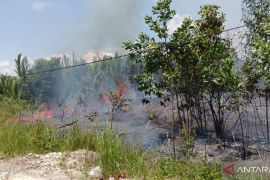 8 hektare lahan gambut di Kaltim dan Kaltara terbakar