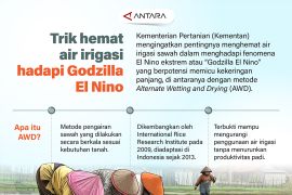 Trik hemat air irigasi hadapi Godzilla El Nino