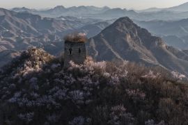 Menengok pemandangan musim semi di Tembok Besar China