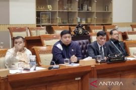 Anggota DPR sebut Prabowo sangat peduli ekraf saat respons kasus Amsal