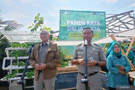 DKI targetkan 5 persen kebutuhan pangan lewat urban farming pada 2030