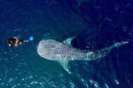 Kemenpar siapkan langkah strategis untuk tingkatkan keamanan berwisata