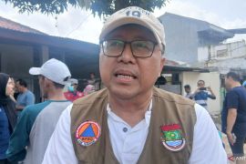 BPBD Tangerang sebut angin kencang akibatkan pohon tumbang