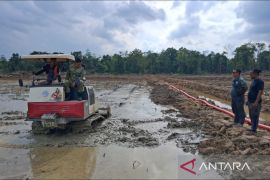 Kodim 0909/Kutim cetak sawah rakyat seluas 553 hektare