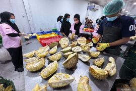 Kementan: Registrasi kebun durian syarat masuk pasar ekspor Tiongkok
