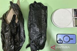 Polisi tangkap pemuda yang terbukti edarkan ganja di Jakbar