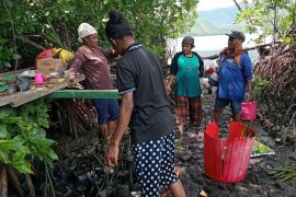 Mama-mama Kampung Enggros jaga hutan bakau tetap lestari