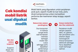 Cek kondisi mobil listrik usai dipakai mudik