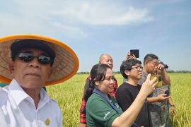 KTNA serukan mitigasi kekeringan dengan optimalisasi pompa air dan varietas tahan kering