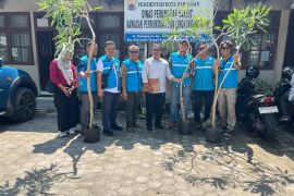 PLN serahkan bantuan bibit tabebuya untuk penghijauan Kota Pariaman, wujud komitmen TJSL dan lingkungan berkelanjutan