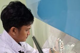 Ekstrak Mangrove terbukti pertahankan kesegaran Udang Vannamei