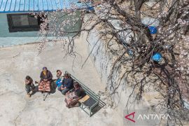 Kisah Tsering Sangmo: Dari masa sulit menuju kehidupan bahagia