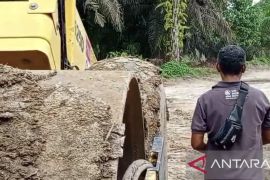 Dua Pemkab di Jambi minta investor PT SAS selesaikan jalan khusus batubara