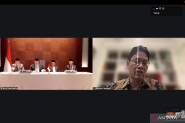 Menkeu Purbaya lantik dewan pengawas profesional INA