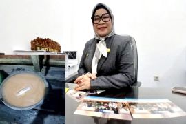 Ketua Komisi I DPRD Barut soroti air PDAM keruh di Jambu dan Jingah