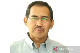 Pakar: Pembatasan medsos harus ditindaklanjuti program pengawasan