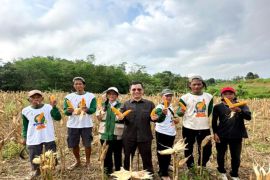 Ketua Komisi II DPRD Barut minta petani tanam pangan pendamping hadapi El Nino