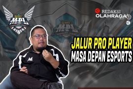 Redaksi Olahraga: Jalur Pro Player dan Masa Depan Esports