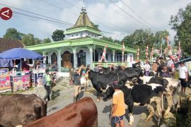 Melihat tradisi Lebaran Sapi di Boyolali